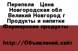 Перепела › Цена ­ 99 - Новгородская обл., Великий Новгород г. Продукты и напитки » Фермерские продукты   
